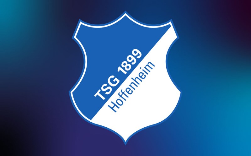 Kunden - Logo TSG Hoffenheim