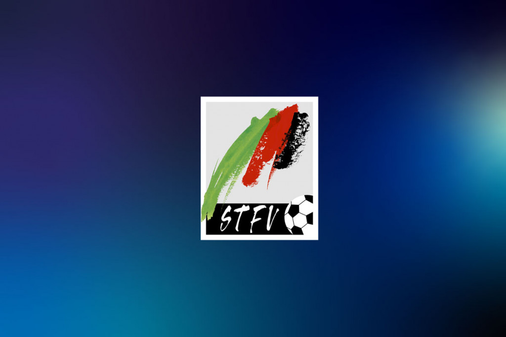 Logo des Liga Partners Steirischer Fußballverband